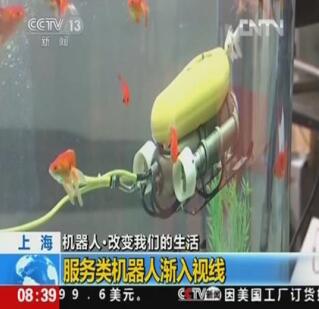 自1.jpg